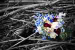 bruidsfoto trouwfoto wedding photo kleur color selective color buiten 2018-04-20 FIS18042001 bruidsfotograaf trouwfotograaf Michiel Borgart Forever Images Den Haag